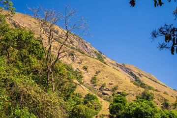 Charmady Ghat is a mountain pass in the Western Ghats range in the kadur to mangalore Road of Karnataka, India