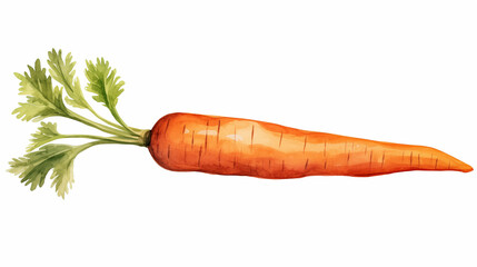 Hand drawn carrot illustration material
