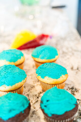 Decorating Cupcakes with Cactus-Shaped Buttercream Frosting