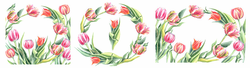 Watercolor floral illustration set , pink, red flowers, tulips, green leaf branches collection, for wedding stationary, greetings, wallpapers, fashion, background.