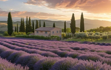 Foto op Canvas Idyllic landscape painting of a rustic countryside home amidst lavender fields © Andrus Ciprian