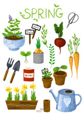 Set of isolated garden elements. Hand drawn illustration. Spring Gardening clipart, Garden tools set, Garden elements.Spring time, garden work, seedling, pots. - 730888371