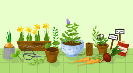 Set of garden elements. Hand drawn illustration. Spring Gardening clipart, Garden tools set, Garden elements.Spring time, garden work, seedling, pots. - 730888379