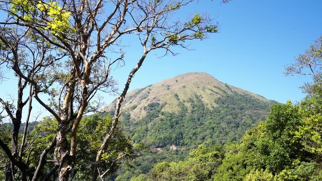 Charmady Ghat is a mountain pass in the Western Ghats range in the kadur to mangalore Road of Karnataka, India