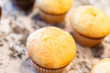 Baking Cupcakes for Creative Cactus-Themed Decoration