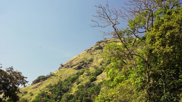 Charmady Ghat is a mountain pass in the Western Ghats range in the kadur to mangalore Road of Karnataka, India