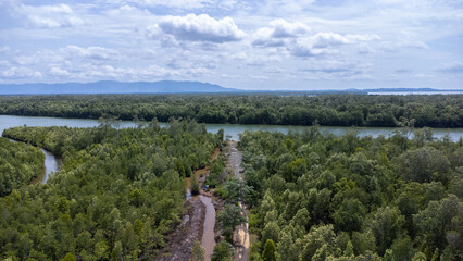 Fototapeta na wymiar Aerial view of Bird Island which is full of mangrove forests and surrounded by beautiful sea water