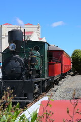 Naklejka premium Landscape, animals in NewZealand