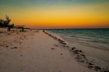 Scenic view of Watamu Beach at sunset in Watamu, Malindi, Kenya