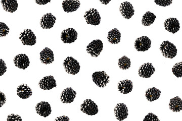 Falling blackberries isolated on white. Background of blackberries. Sweet berry isolated on white...