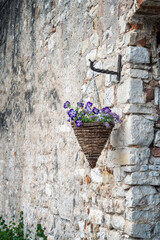 Vintage decoration on a stone wall with flowers in the old town of Zadar, Croatia.