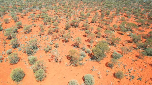 Australian outback in the center of the continent