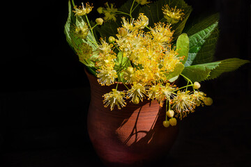 Bouquet of linden flowers. Low key. Rustic style. Linden flowers. Low key. Rustic Clay Vessel