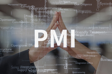 PMI（合併後統合）のイメージ