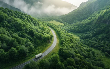  caminhão está dirigindo em uma estrada sinuosa que atravessa uma floresta verdejante e montanhas © Alexandre