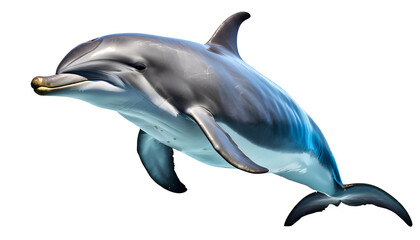 One jumping dolphin