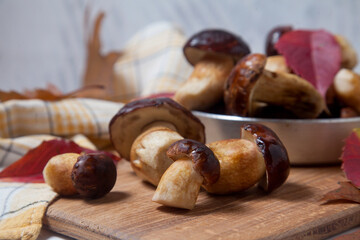 Several Imleria Badia or Boletus badius mushrooms commonly known as the bay bolete and vintage pan with mushrooms on wooden cutting board..