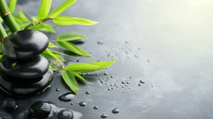 Obraz na płótnie Canvas Gray spa background, spa concept, green bamboo and black stones