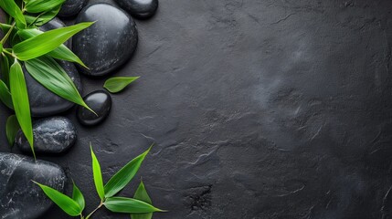 Black spa background, spa concept, green bamboo and black stones