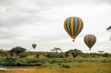 Obraz premium Miracle Balloon Safaris in the Serengeti savannah