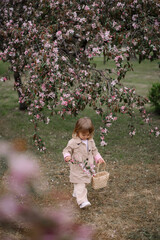 A little girl, a child in a beige raincoat and trousers walks along a green lawn in a garden of blooming apple trees. Spring