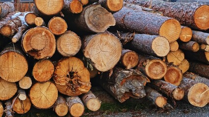 Stack of Cut Tree Trunk Logs Stored Outdoors