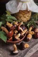 Pile of Imleria Badia or Boletus badius mushrooms commonly known as the bay bolete with canned mushroom in glass jar on vintage wooden background..