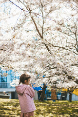 Little girl standing under the blossoming white sakura tree. A serene and peaceful spring atmosphere.