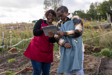 African American senior couple in apron examining growth of their organic farm with digital tablet