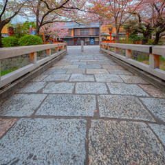Fototapeta premium Tatsumi bashi bridge crosses Shirakawa river is the iconic place of Gion district in Kyoto, Japan