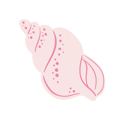 Sea ​​shell