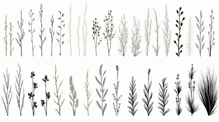 Different doodles of grass isolated on a white background.