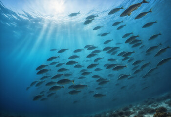 Fototapeta na wymiar School of fish under water
