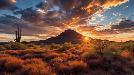 Poster Desert sunset with mountain near Phoenix, Arizona. © yaxir