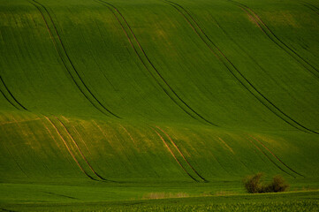 Scenic view of rolling fields near Kyjov at sunrise, Hodonin District, South Moravian Region,...