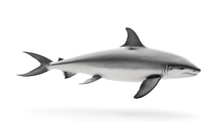 Fototapeta premium Animal Fish Dolphin isolated on white background 2