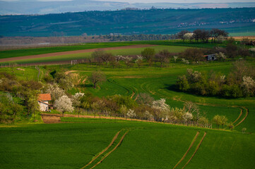 Countryside of southern Moravia, Czech Republic
- 730959353
