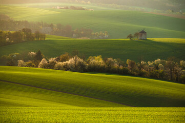 Gorgeous rural landscape with old windmill and green sunny spring hills. South Moravia region,...