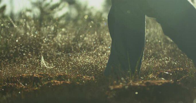 Closeup of feet walking in a raised bog. Dew grass in foreground. Slow motion.