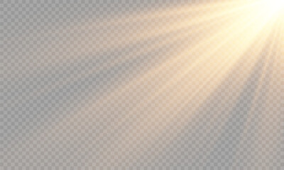 Light Vector with Sun Glare. Sun, Sunrays, and Glare in PNG Format. Gold Flare and Glare.	

