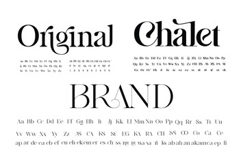 Set of elegant fonts. Upper and lower case, set of ligatures. Ideal font for headlines and logos. Vector