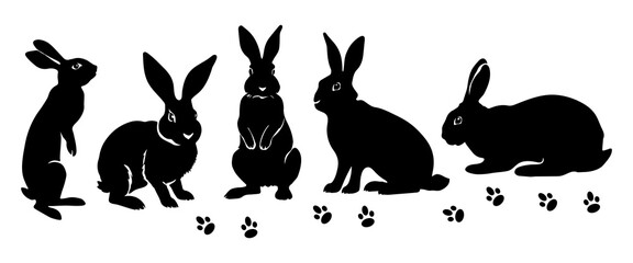 Rabbit Silhouette. Rabbit Vector Illustration.