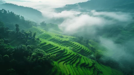 Fototapete Reisfelder Rice terrace. Asian landscape. Travel concept. 