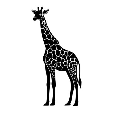 South African giraffe in linocut textured style. Isolated on white background vector illustration