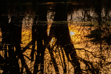 Zachód słońca widziany na powierzchni wody, odbijające się drzewa wieczorową porą