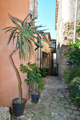 A narrow street in Castellabate, a medieval village on the coast of Campania, Italy..