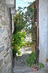 A narrow street in Castellabate, a medieval village on the coast of Campania, Italy..