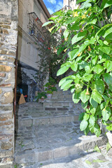 A narrow street in Castellabate, a medieval village on the coast of Campania, Italy..