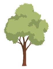 Stylized tree icon. Natural forest plant, ecology garden template isolated on white. Flat  illustration