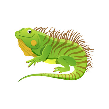 Cute iguana card. Alphabet with animals. Colorful design for teaching children the alphabet, learning English.